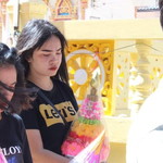 Ploy Jaranphong profile icon