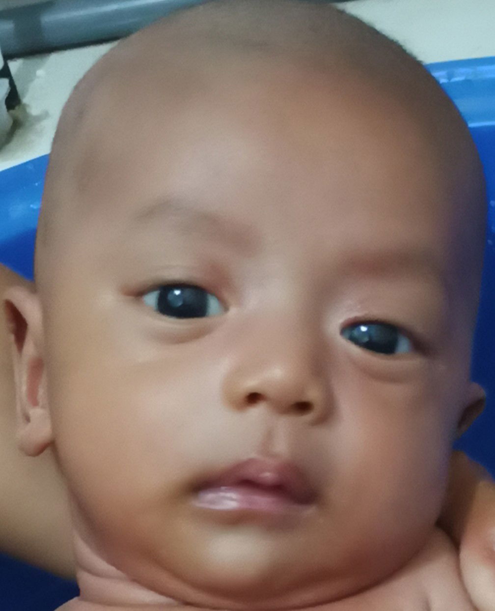 Misella profile icon