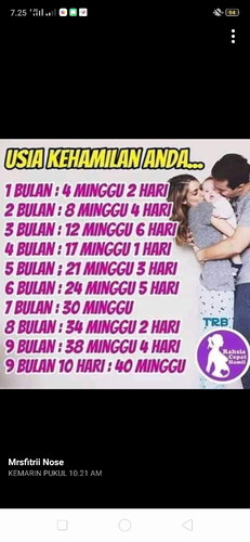 kalender kehamilan