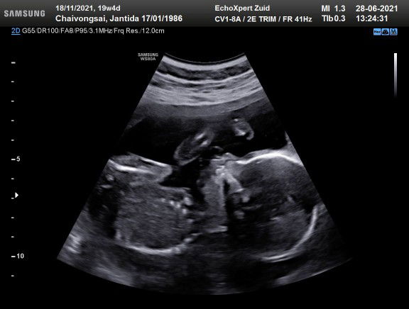 Madelynn แมเดอลิน profile icon