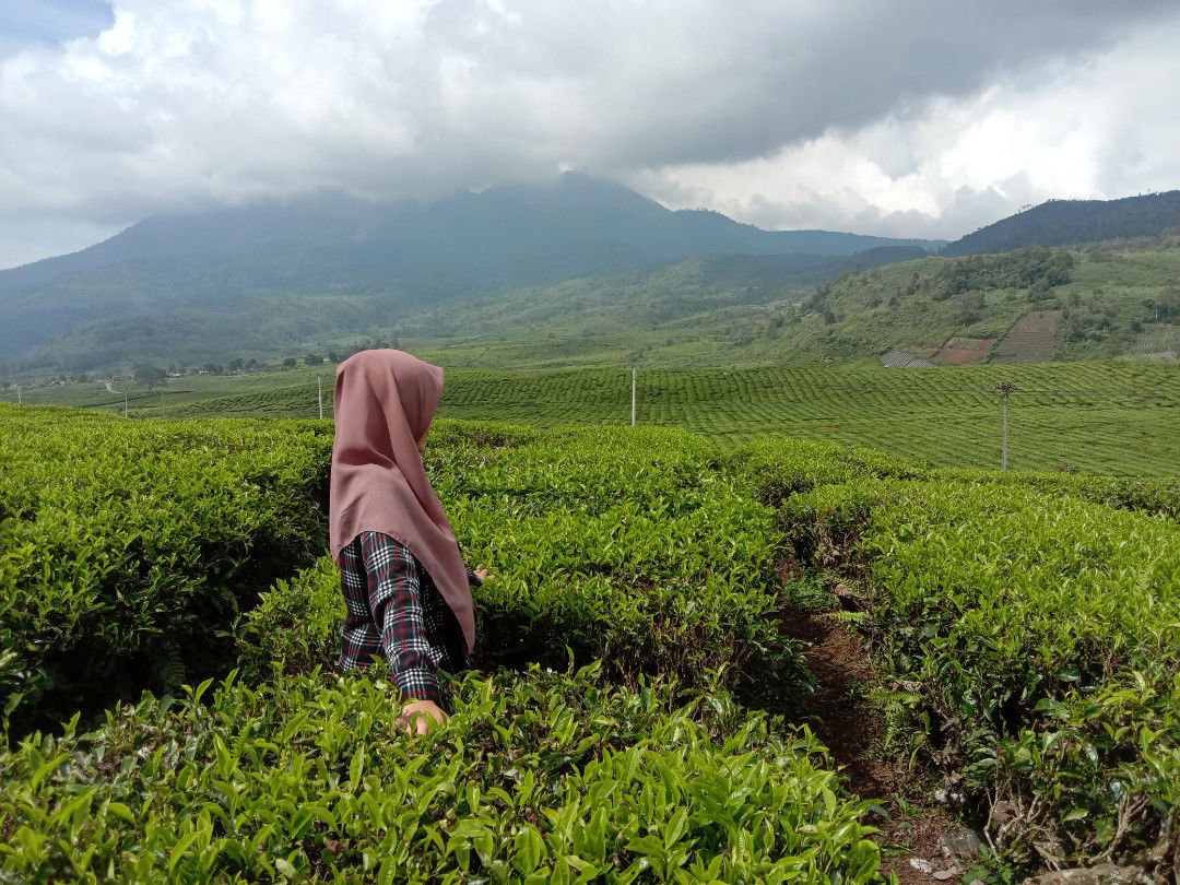 Nurul Maghvirah profile icon