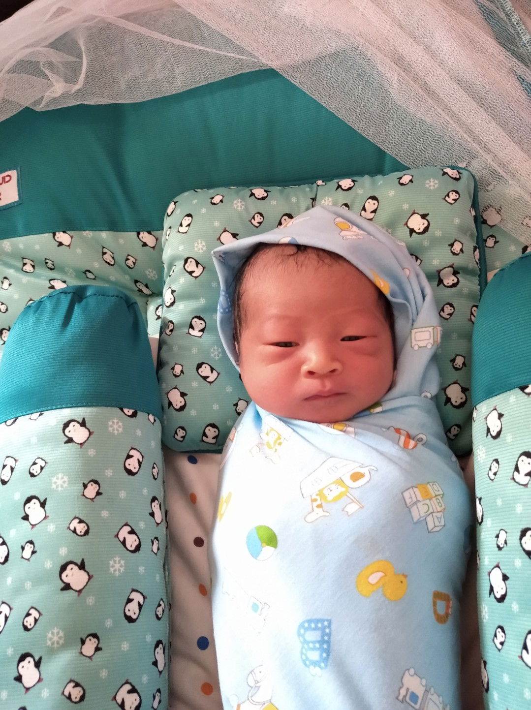 faramita profile icon