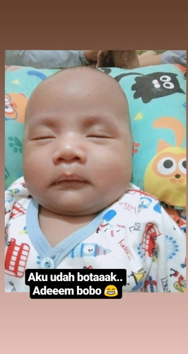 Kepala Bayi