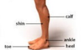Cramps In CALF