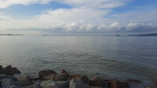 syierah profile icon