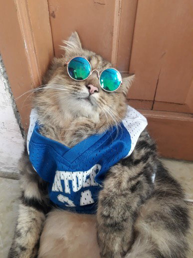 rindu profile icon
