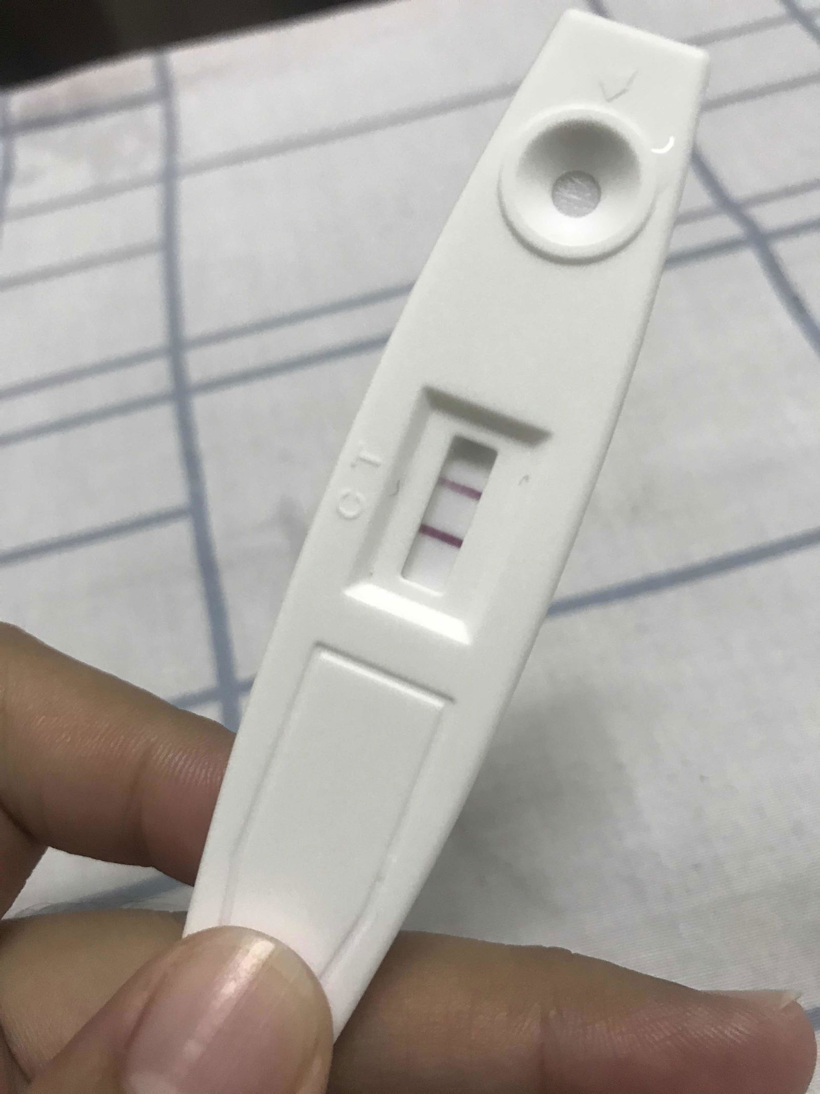 Elya Nour profile icon