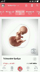 mengahapus pemberitahuan prkembangan janin di aplikasi