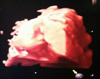 Nokita As-Sahudi profile icon