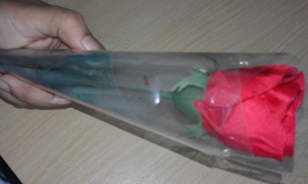 Novita PL profile icon