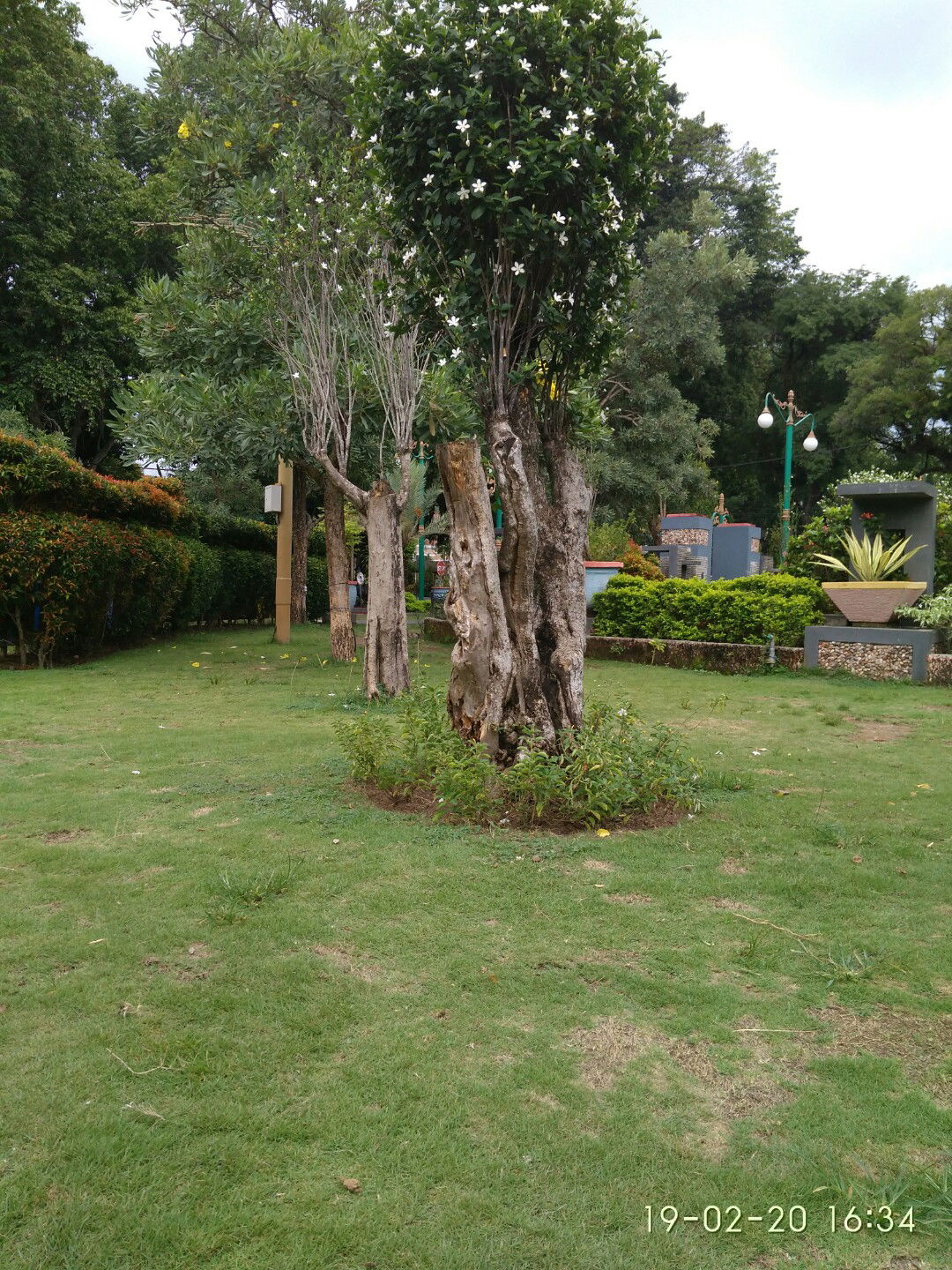 Herlianta profile icon