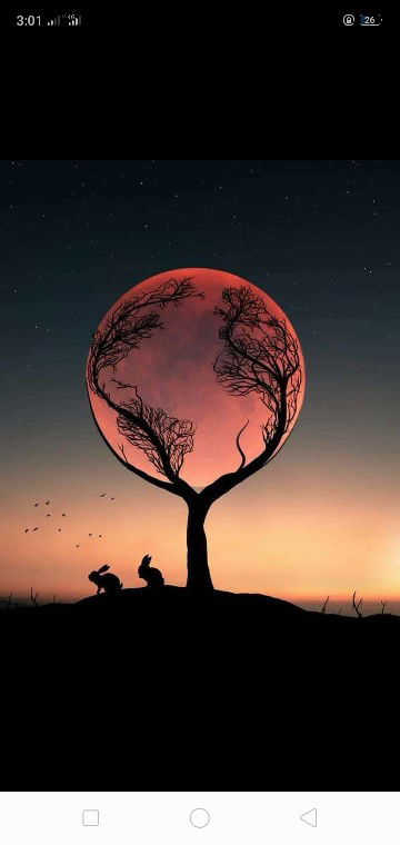 Fran Cia profile icon