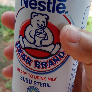susu bearBrand