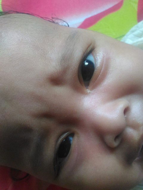 putripribadi profile icon