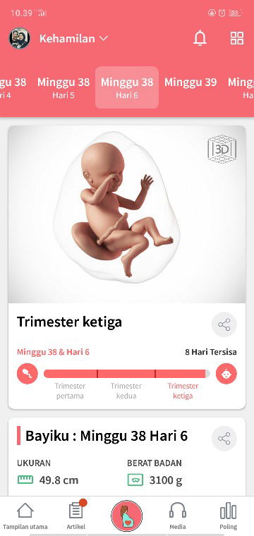 menunggu debay lahir