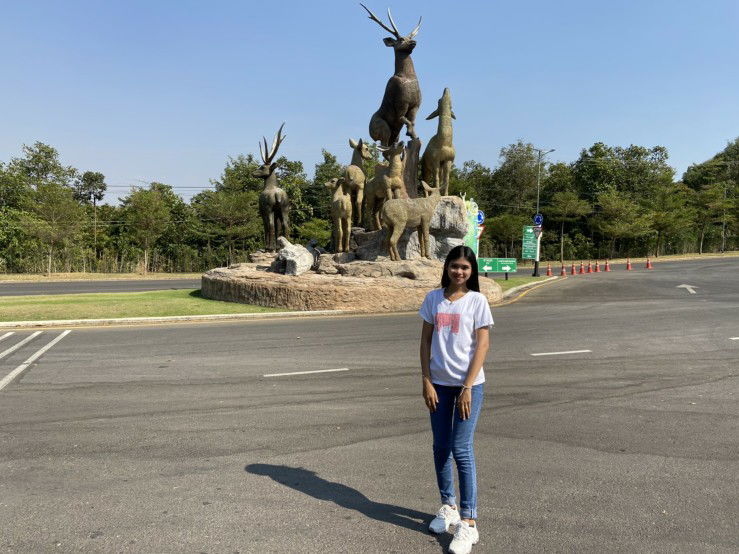 chonthicha profile icon