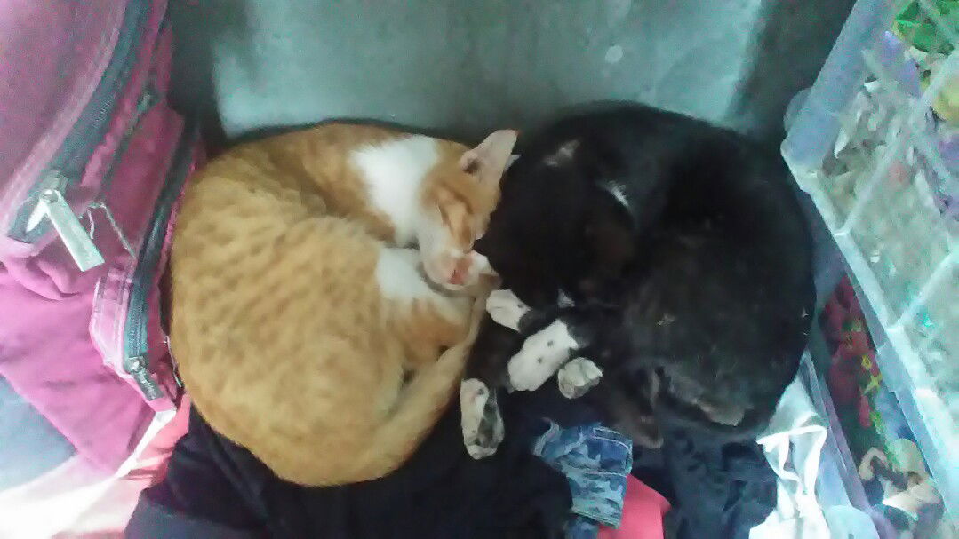 krurkzz profile icon