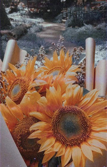 Iin Indah Komalasari profile icon