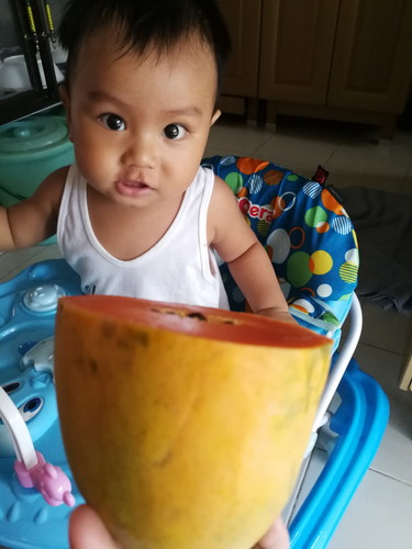 มะละกอเช้านี้ของหมีภัฐ