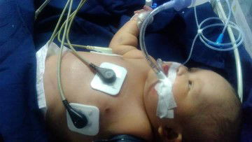 Kesayangan Bunda Bidadari surga bunda&Ayah♥