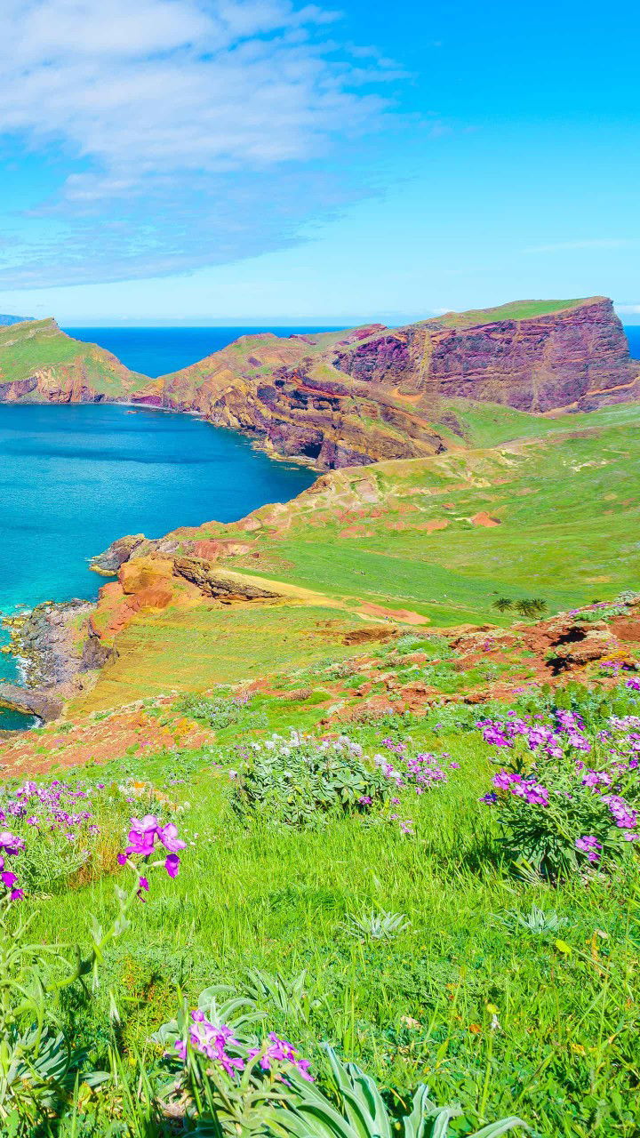 syamimi profile icon