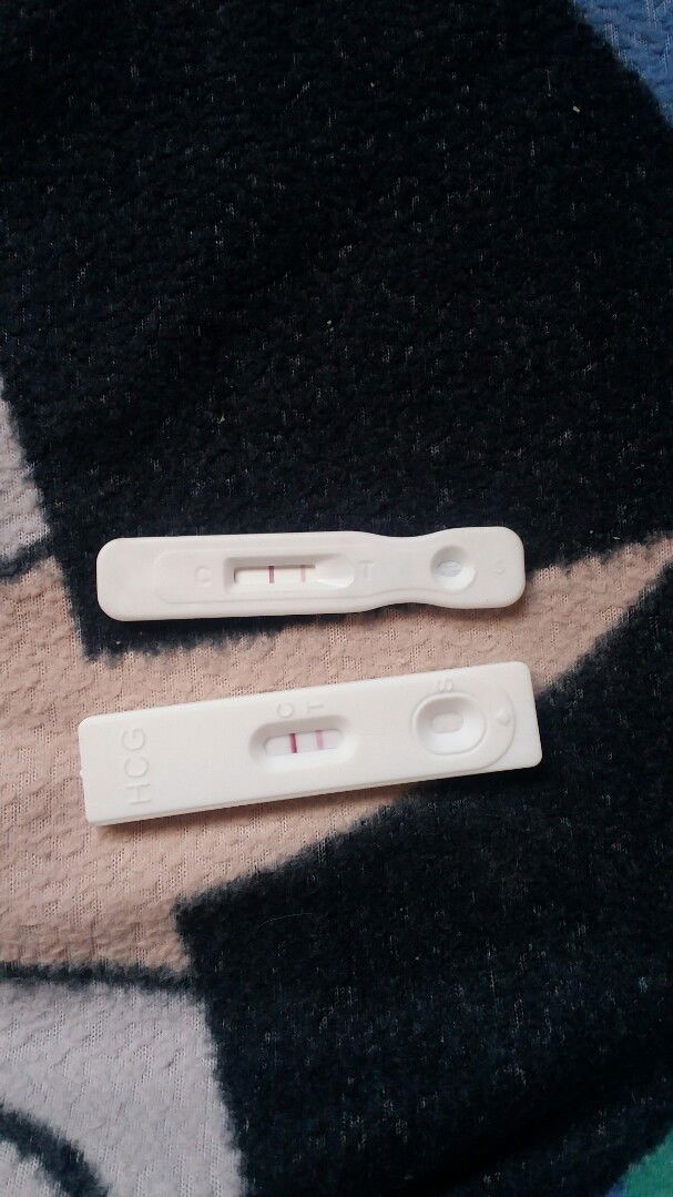 Shai Tolosa profile icon