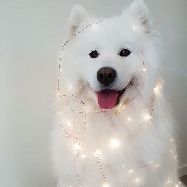 กัป ตัน profile icon