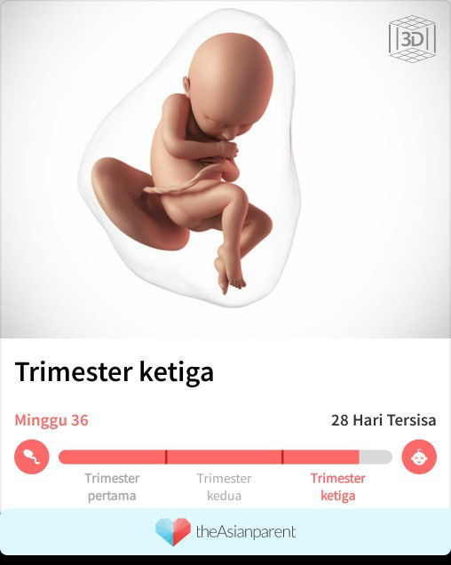 nama untuk anak laki2