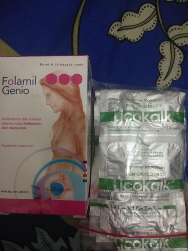 vitamin bumil