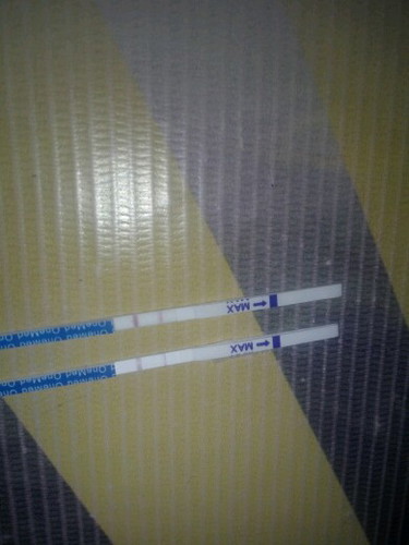 2 garis samar