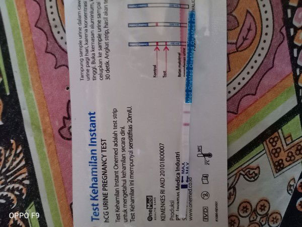 tentang prosea kehamilan