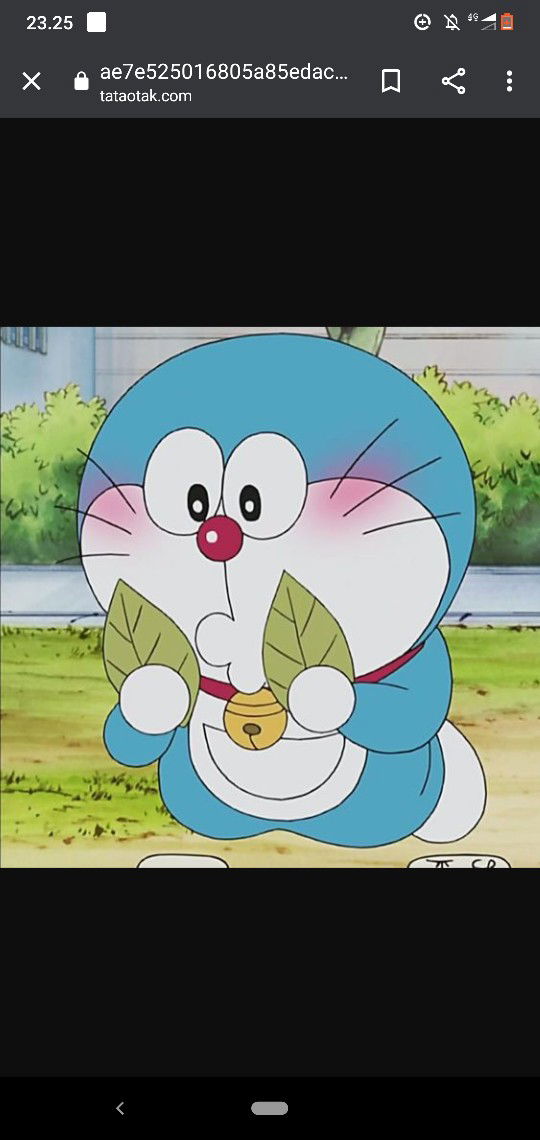 dini purity profile icon