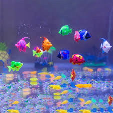 What fish is good for kids for acquarium
