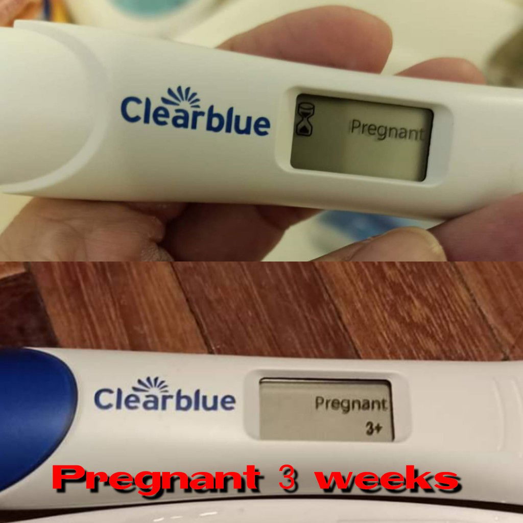 Accurate Pregnancy Test/Kit