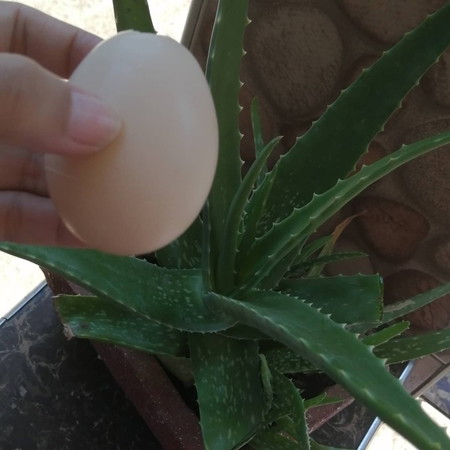 What's For Skin Breakfast???