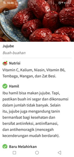jujube (kurma)