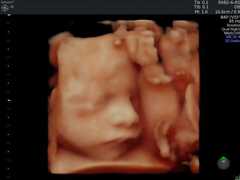 wanti gustini profile icon