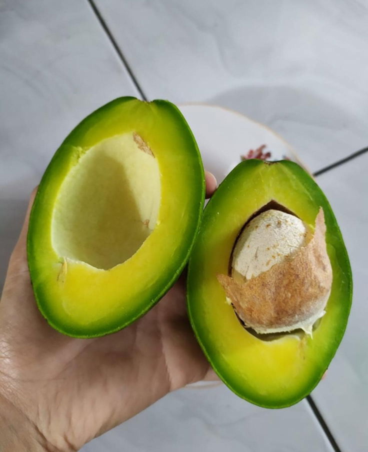 อโวคาโดมาแล้วจ้า