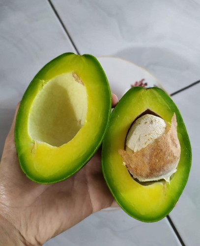 อโวคาโดมาแล้วจ้า