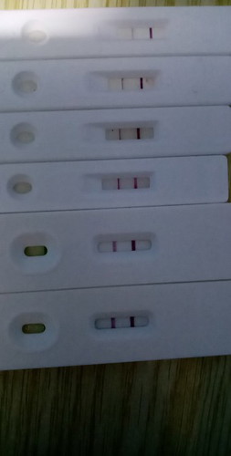 Pregnancy TEST positive