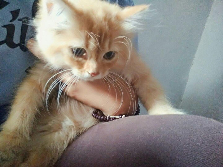 evie oktaviani profile icon