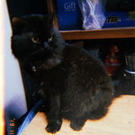 Tonnam Namphetch profile icon