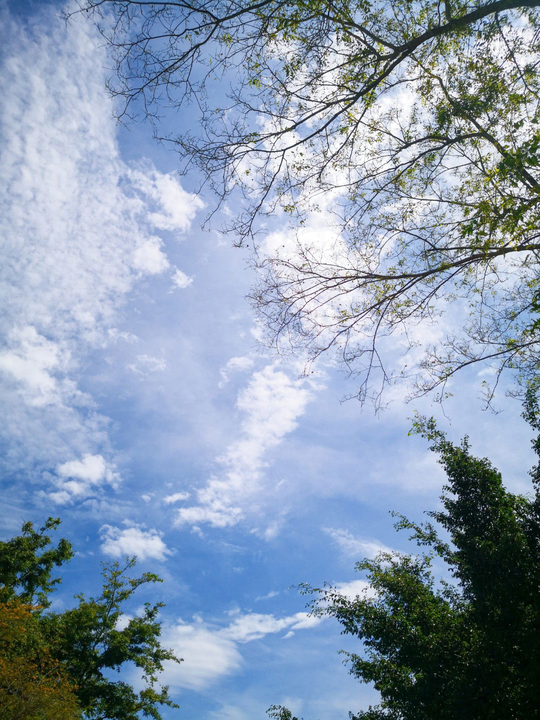 Mommy Gracia profile icon