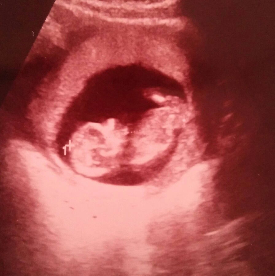 mommysara profile icon