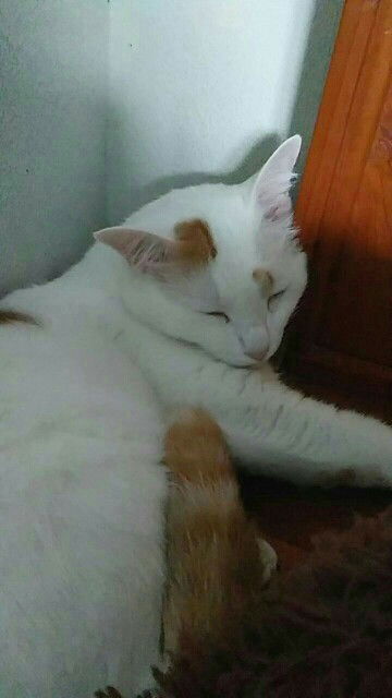 Kesorn Singkaew MoMay profile icon