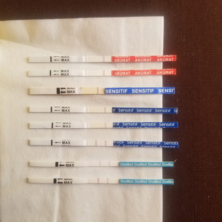 Alhamdulillah terima kasih bunda TAP