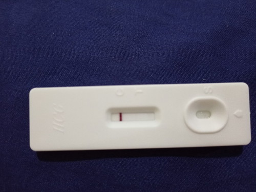 period dan hamil