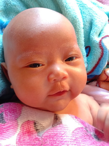 น้องปันปัน