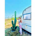 Apple Smile profile icon