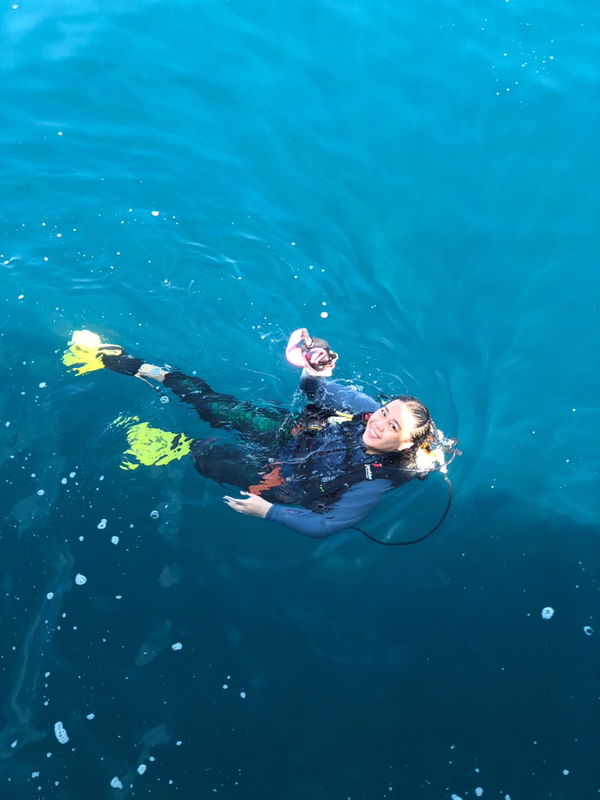 naparat ng profile icon